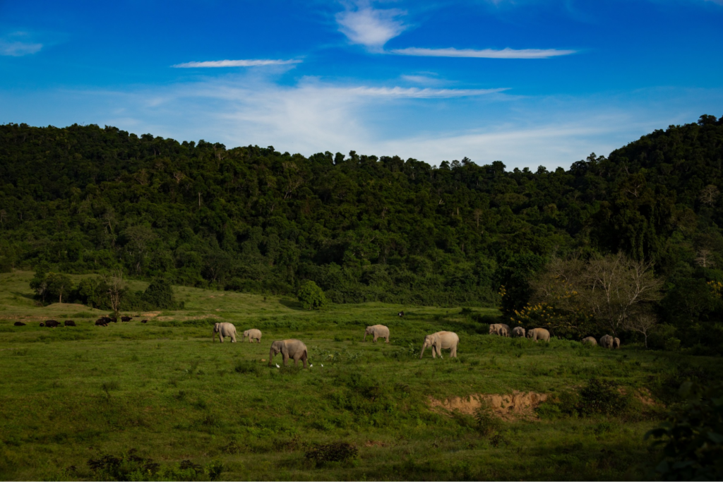 ที่เที่ยวธรรมชาติ หัวหินและประจวบ 2026 ผืนป่ากุยบุรี