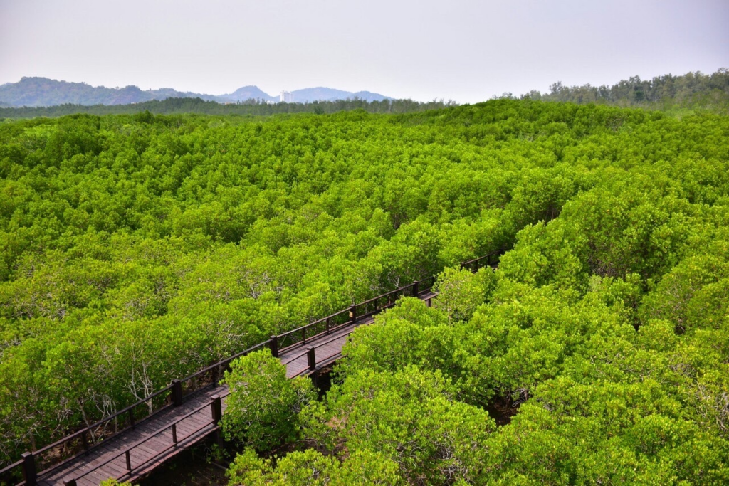 ที่เที่ยวธรรมชาติหัวหิน วนอุทยานปราณบุรี