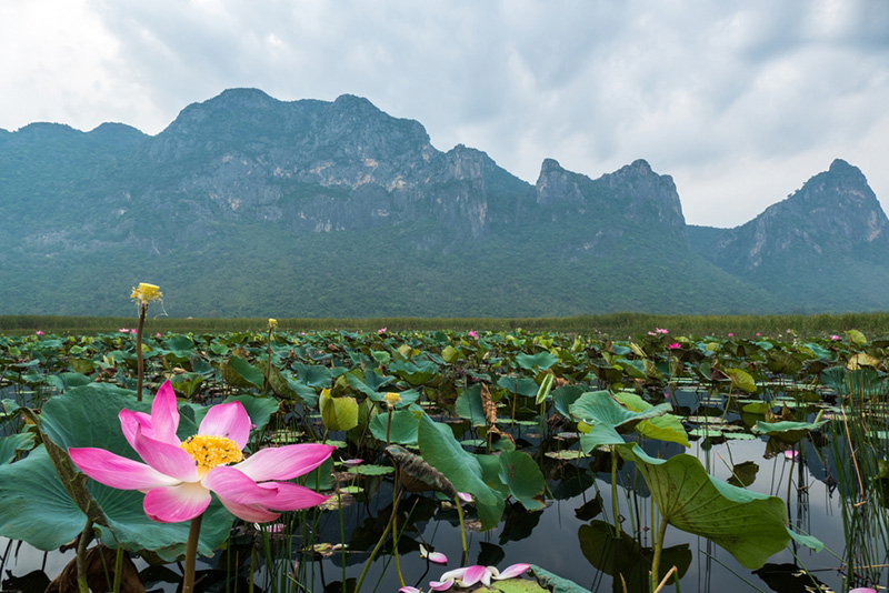 เขาสามร้อยยอด