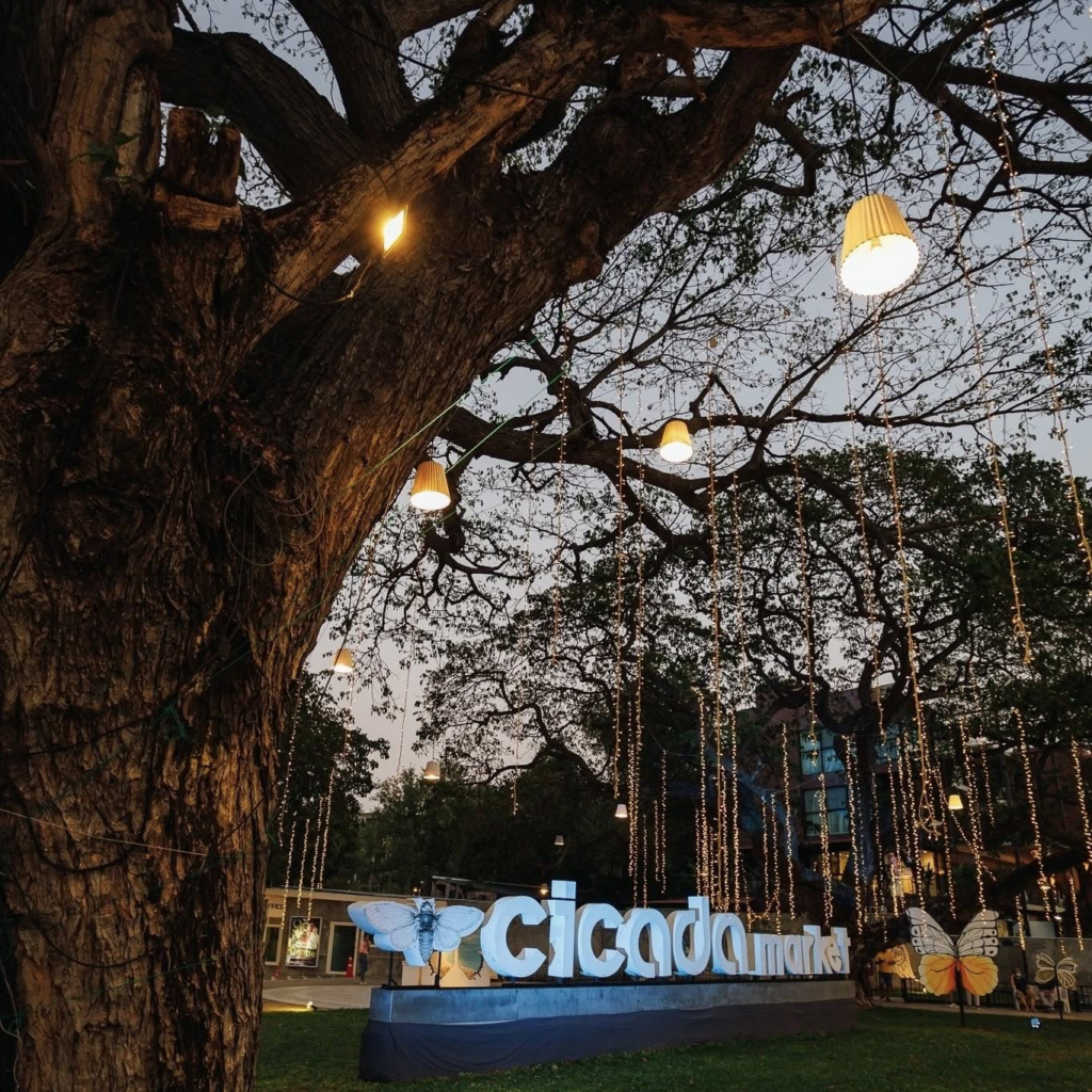 Cicada Market ที่เที่ยวหัวหินใกล้โรงแรม Loligo Resort Hua Hin