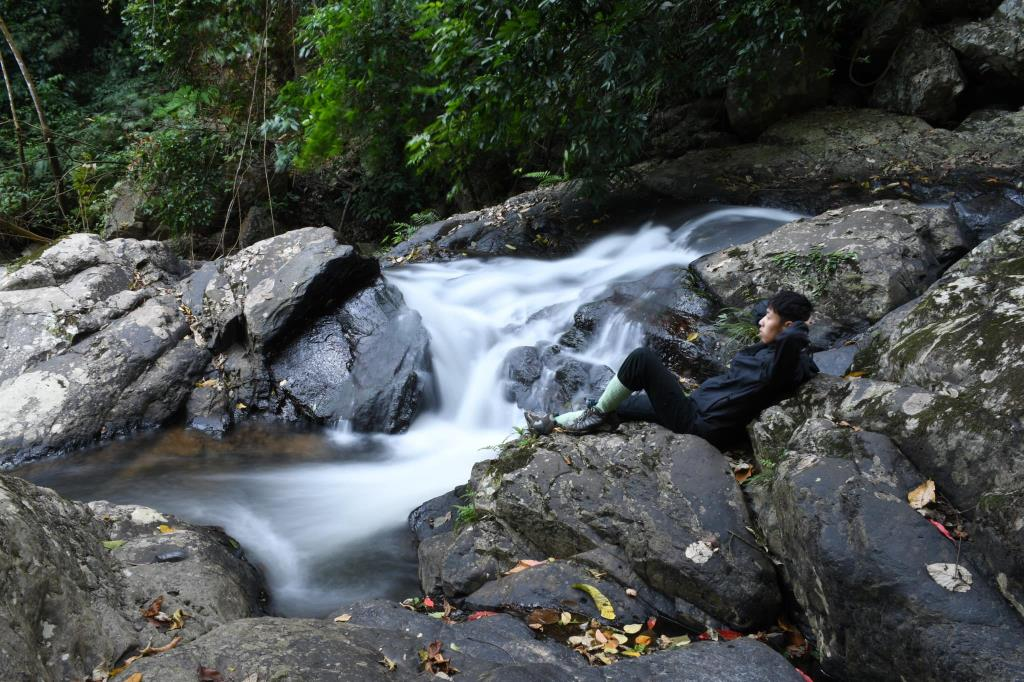มุมสายน้ำตกป่าละอูที่ไหลลดหลั่นลงมาท่ามกลางต้นไม้ใหญ่ในผืนป่า