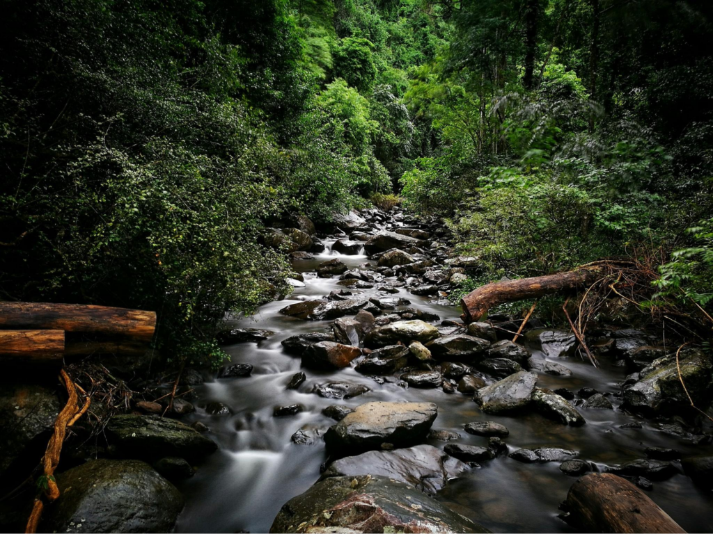 สายน้ำและผืนป่าที่เชื่อมกันอย่างกลมกลืนในพื้นที่น้ำตกป่าละอู