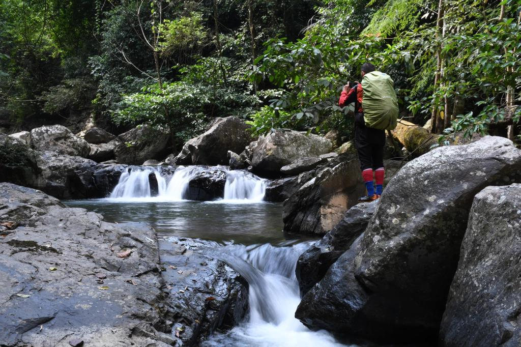 เสน่ห์ของเส้นทางธรรมชาติในน้ำตกป่าละอูที่ค่อย ๆ เปิดมุมมองใหม่ระหว่างทาง