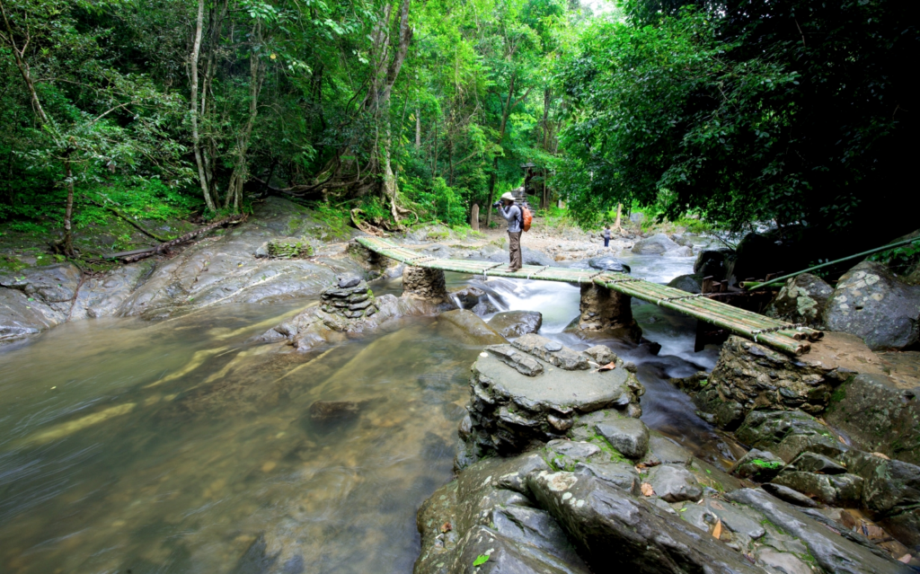 เส้นทางเดินในน้ำตกป่าละอูที่เชื่อมต่อผ่านลำธารท่ามกลางบรรยากาศธรรมชาติ