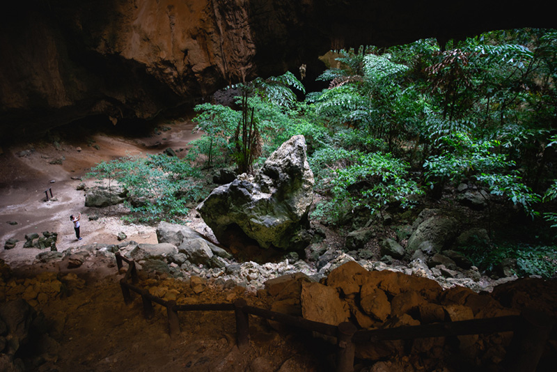 โถงถ้ำเขาสามร้อยยอดกว้างใหญ่ รับแสงธรรมชาติส่องลงสู่โขดหินและพืชพรรณ