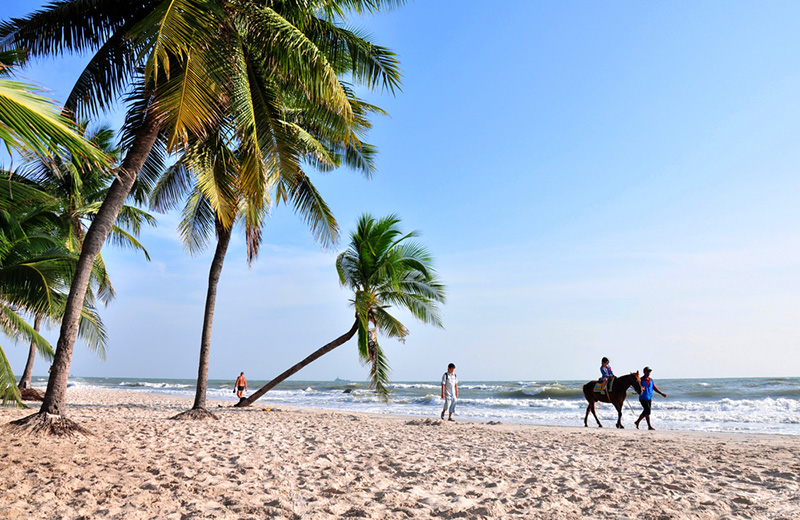 Beach scene with palm trees and horses.